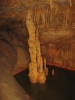 PICTURES/Cathedral Caverns/t_Cathedral Caverns - Formation.JPG